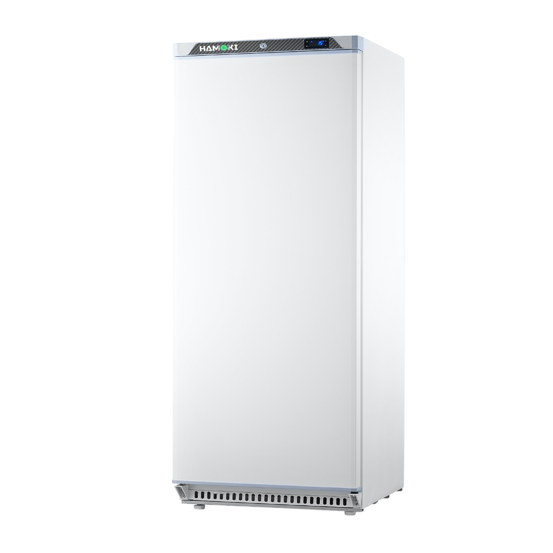 W-311003 - Single Door Upright Freezer in ABS - 411L (HA-F600 White)