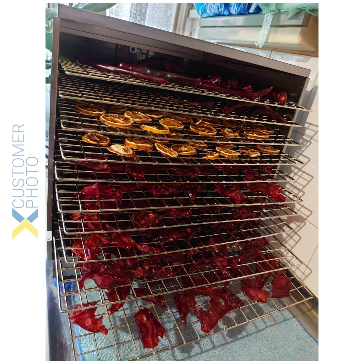 Commercial Food Dehydrator With 10 Removable Food Trays 1k W | Fd1