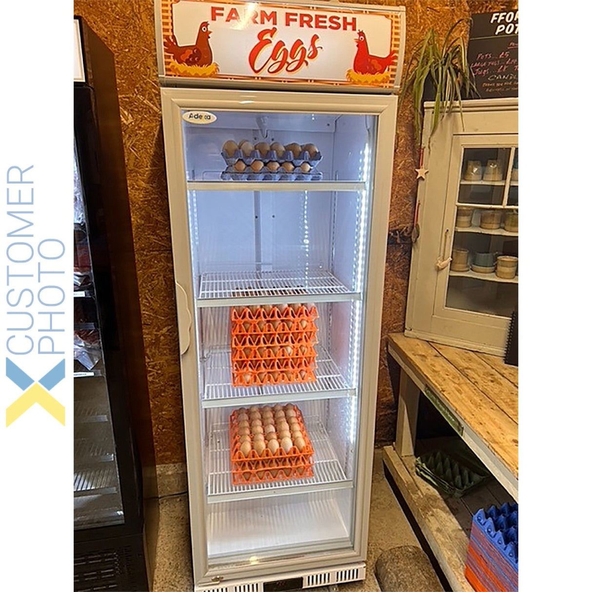 Commercial Drink Cooler Upright 402 Litres Dynamic Cooling Hinged Glass Door Canopy Light | Lg402 Df