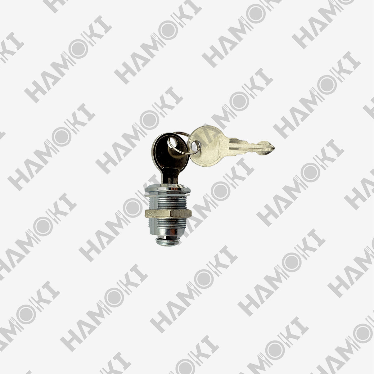 Lock with 2 Keys for HA-R & HA-F ABS Series