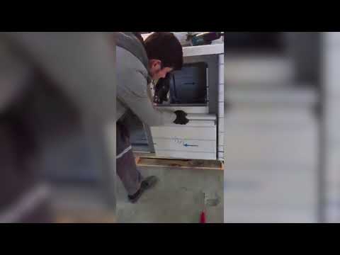 Elevate Your Culinary Space with the Combisteel Refrigerated Counter - 600mm Height, 3 Convenient Doors, Model 7489.5080