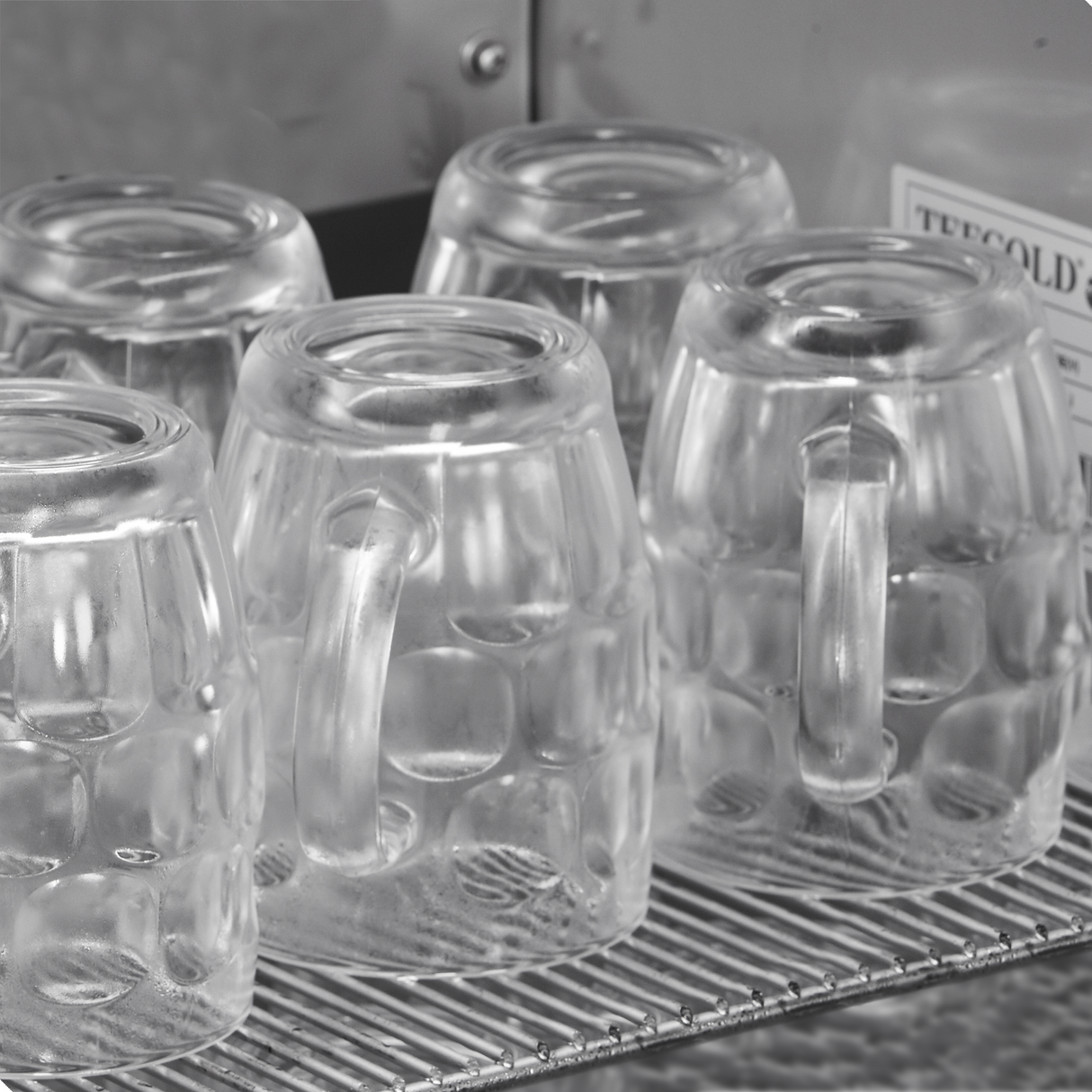 TEFCOLD - Glass Froster/Sub Zero Cooler - GF200VSG