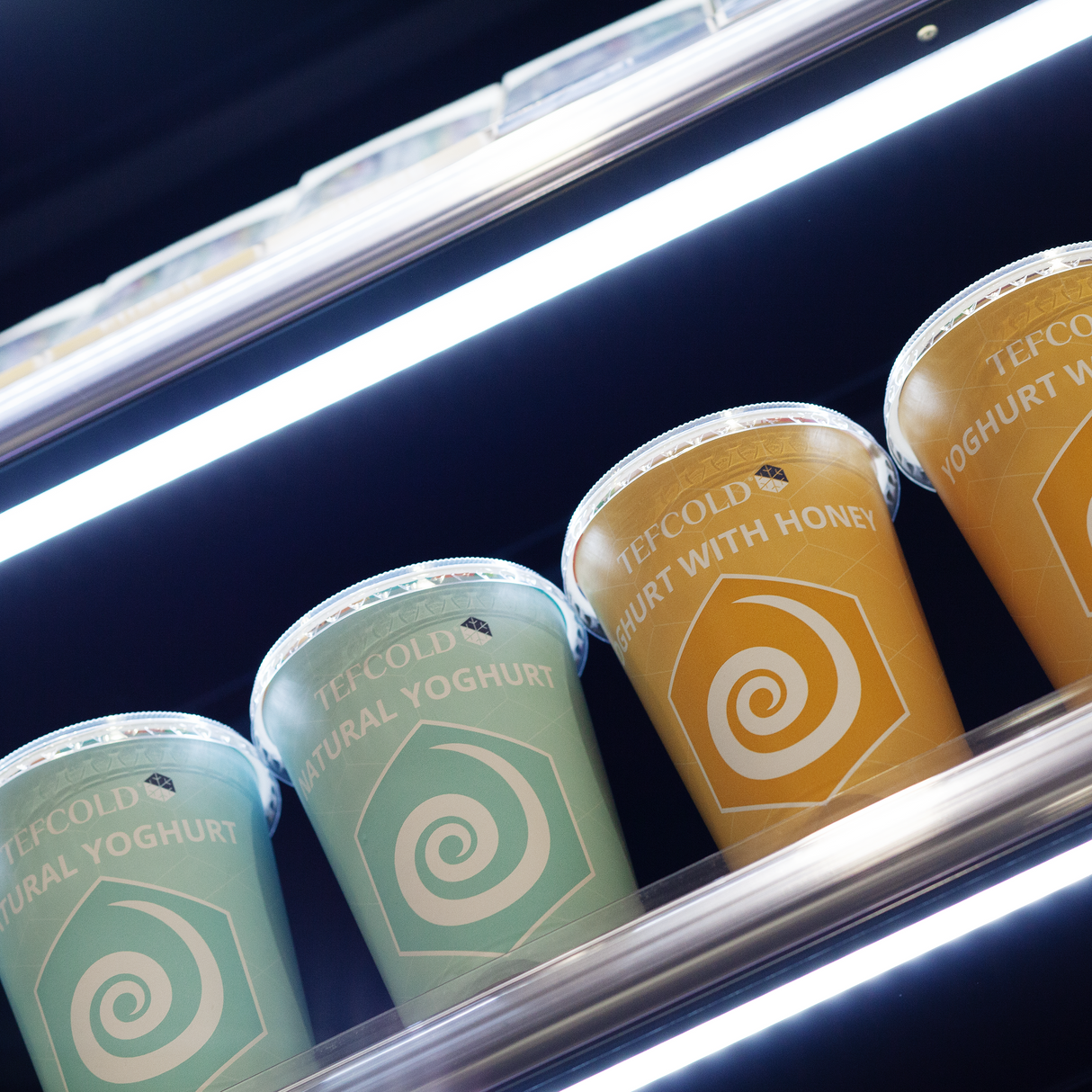 TEFCOLD - Multideck With Doors - PC1870B