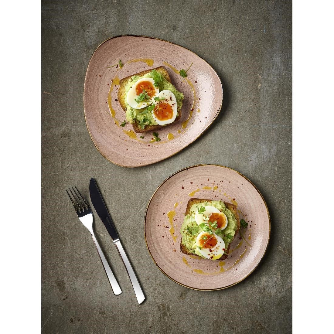 Churchill Stonecast Raw Terracotta Evolve Coupe Plates 288mm (12 Pack)