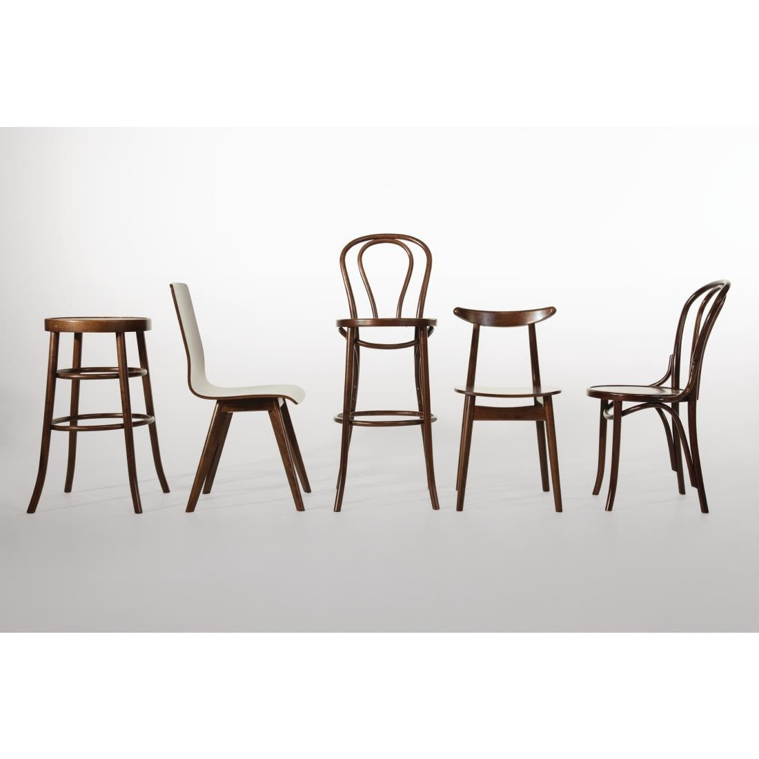 Fameg Cowhorn Side Chair Walnut (2 Pack)