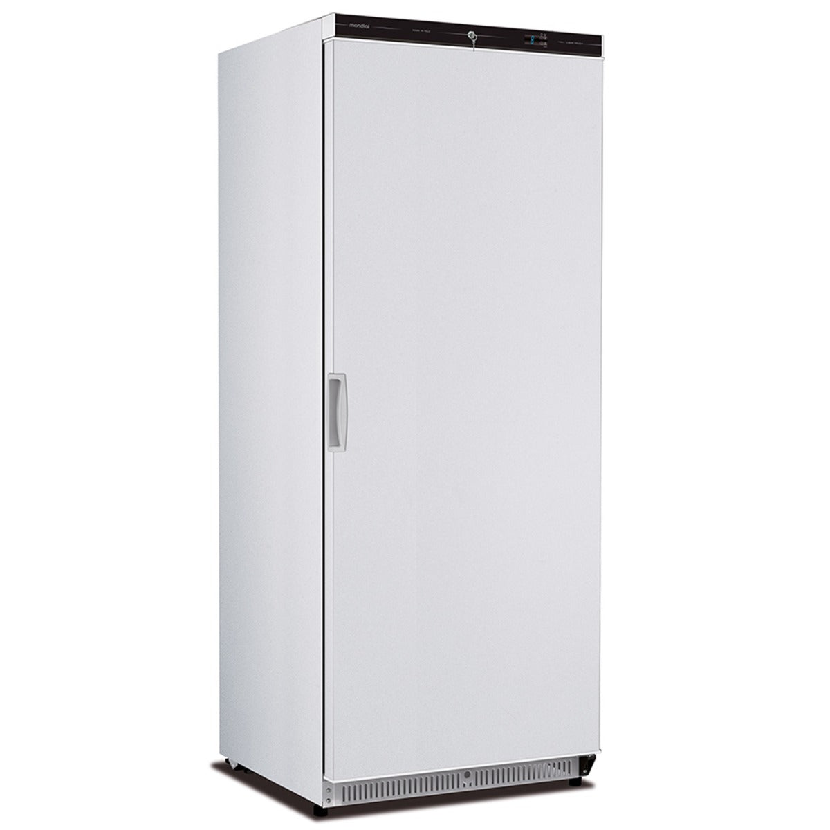 Upright 580 L Single Hinged Door Freezer