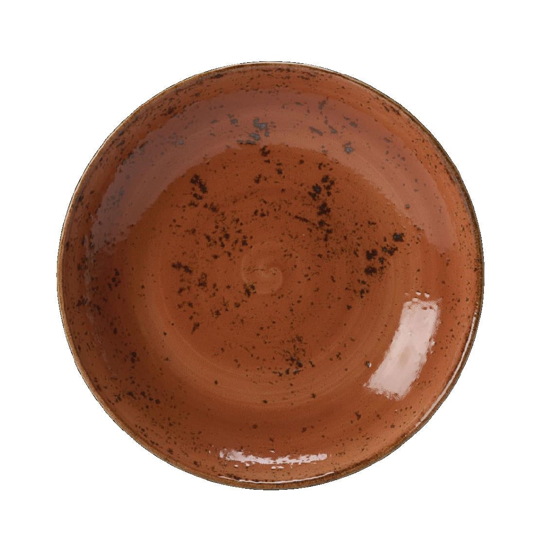 Steelite Craft Terracotta Coupe Bowls 255mm (12 Pack)