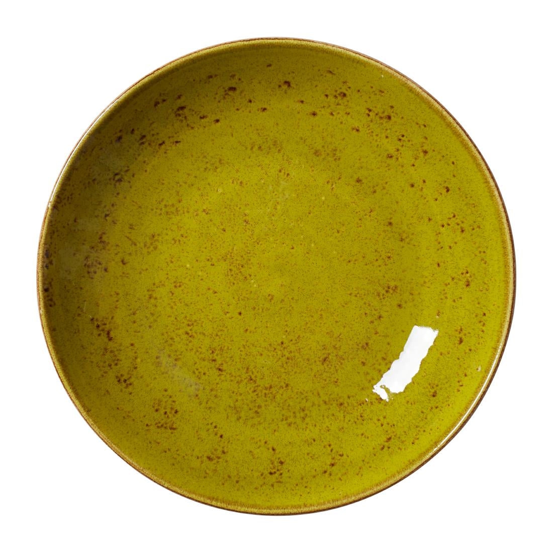 Steelite Craft Apple Coupe Bowls 255mm (12 Pack)