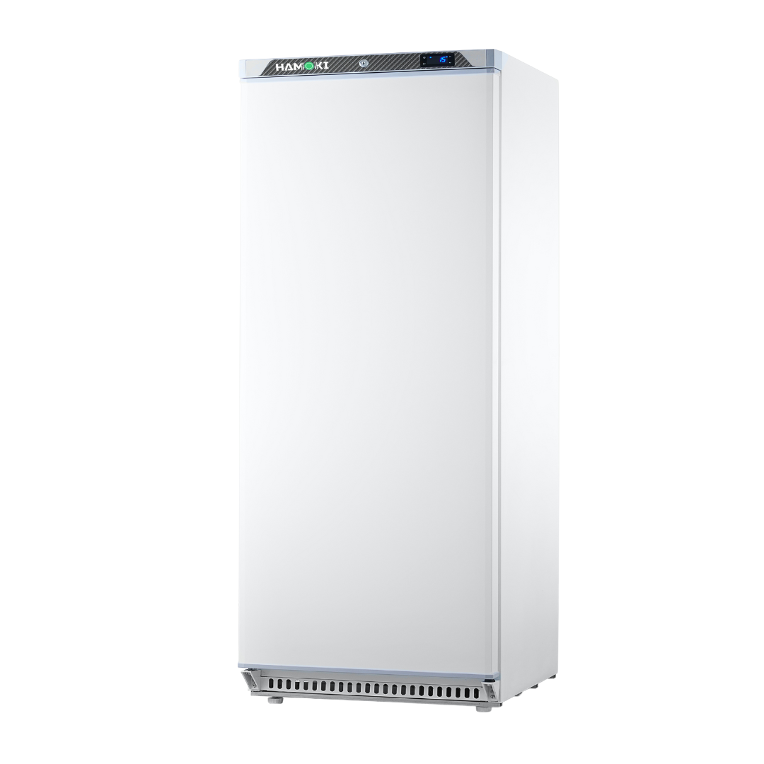 311003 - Single Door Upright Freezer in ABS - 411L (HA-F600 White)