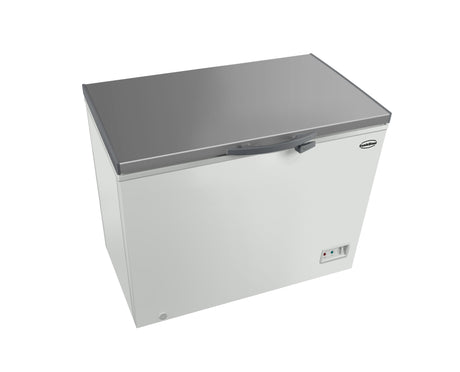 Commercial Chest Freezer - Chest Freezer Ss Cover 402 L