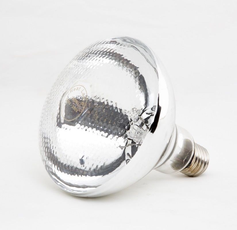 High-Performance 250W Replacement Heat Lamp Bulb by Combisteel - Model 7455.1682