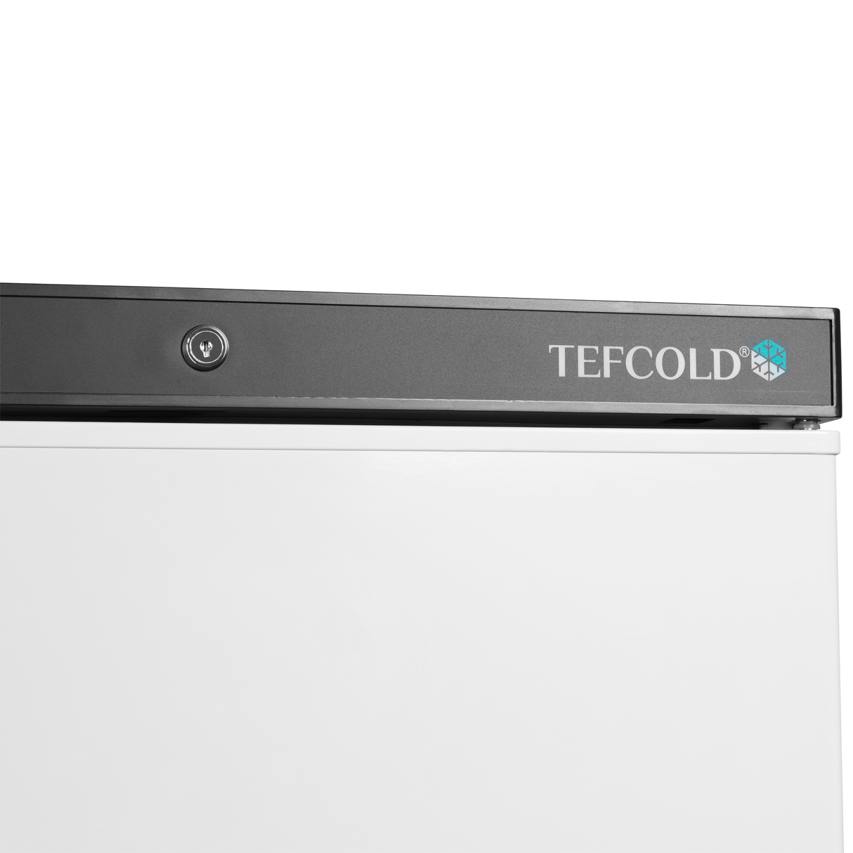 TEFCOLD - Upright Freezer - UF400