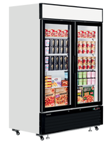 Glass Door Display Freezer - LGF5000