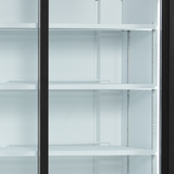 Glass Door Merchandiser - FS1002S