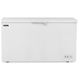 650 L Chest Freezer