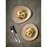 Churchill Stonecast Raw Terracotta Evolve Coupe Plates 288mm (12 Pack)