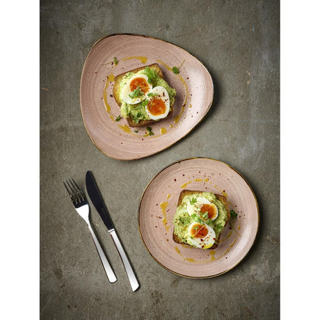 Churchill Stonecast Raw Terracotta Evolve Coupe Plates 288mm (12 Pack)