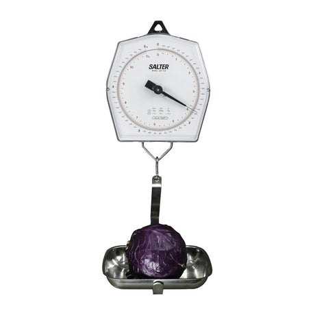 Brecknell 235-10S Mechanical Hanging Scale 5KG