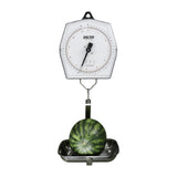 Brecknell 235-10S Mechanical Hanging Scale 5KG