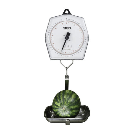 Brecknell 235-10S Mechanical Hanging Scale 5KG
