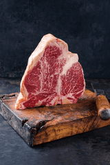 Commercial Catering Equipment - Dry Age Cabinet 138 L