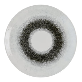 Churchill Studio Prints Fusion Black Evolve Coupe Plates 285mm (12 Pack)