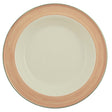 Steelite Rio Pink Soup Plates 215mm (24 Pack)