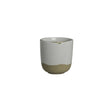 Forager Unhandled Cups 350ml (36 Pack)
